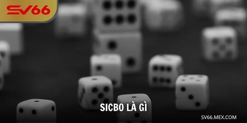Sicbo Là Gì – Trò Chơi Xúc Xắc Kinh Điển Trong Thế Giới Cá Cược SV66